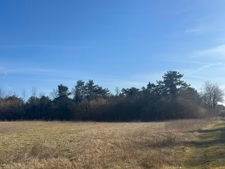 achat terrain 90 162m² villenauxe la petite 77480