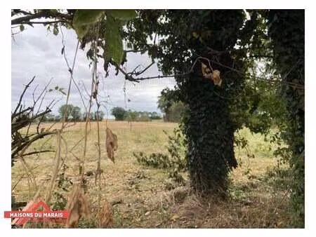 vente terrain à villiers-en-plaine (79160) : à vendre / villiers-en-plaine