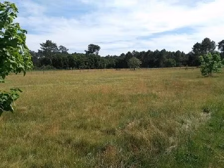 vente terrain 518 m² le barp (33114)