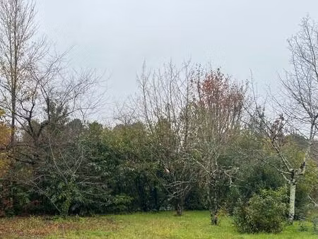 terrain à bâtir à blanquefort (33290)