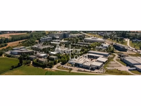 local d activite a louer