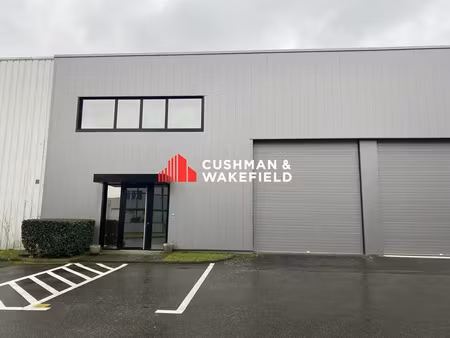 local d'activite a louer