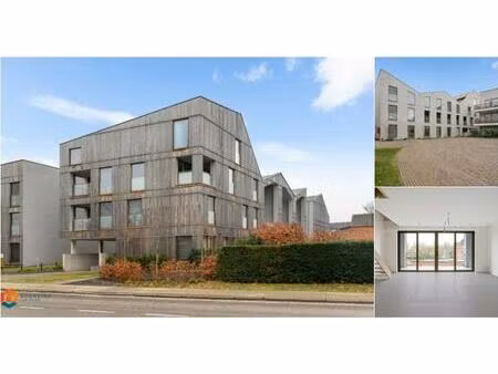 duplex à louer à mechelsebaan 25 duffel (rbv16672)