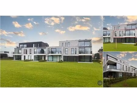 appartement à louer à meester van der borghtstraat 168a putte (rbv16337)