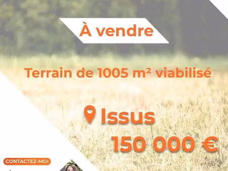 vente terrain 1005 m² issus (31450)