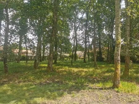 terrain à bâtir à parentis-en-born (40160)