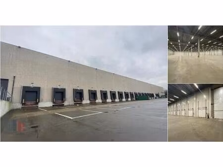 surface industrielle à louer à avenue du parc industriel 213 milmort (rbv16695)