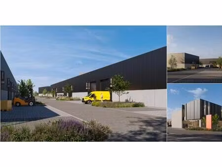 surface industrielle à vendre à willebroek (rbv16372)