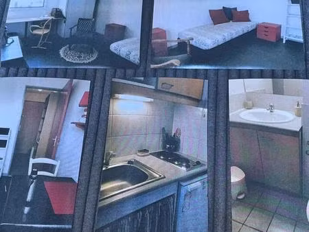 location appartement 1 pièce 20 m² à villeurbanne (69100)