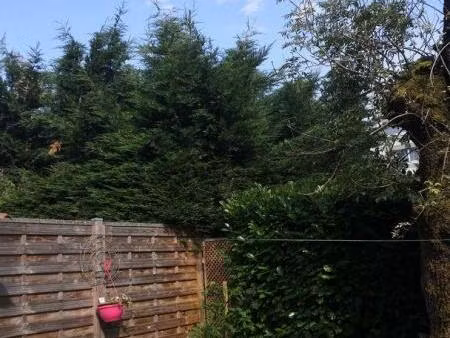 location appartement 1 pièce 11 m² à ferney-voltaire (01210)