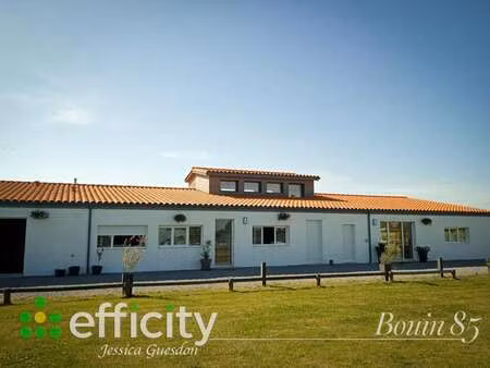 vente maison à bouin (85230) : à vendre / 270m² bouin