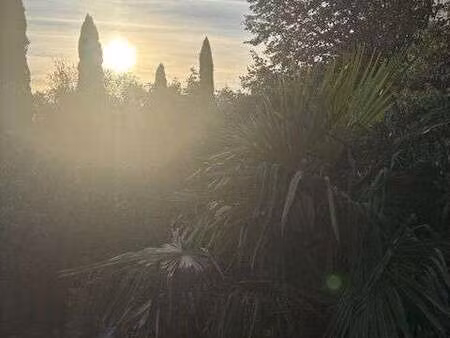vente maison à lauzerte (82110) : à vendre / 50m² lauzerte