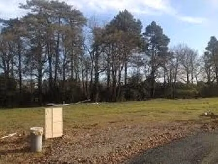 vente terrain 555 m² pissos (40410)