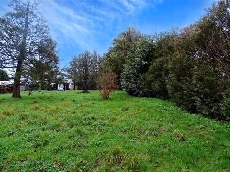 vente terrain à sainte-anne-sur-brivet (44160) : à vendre / 1273m² sainte-anne-sur-brivet