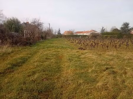 terrain constructible viabilisé à vendre