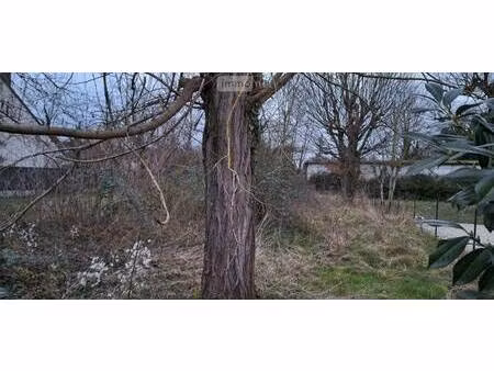 terrain constructible à vendre