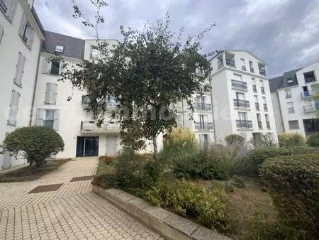 le cedre immobilier