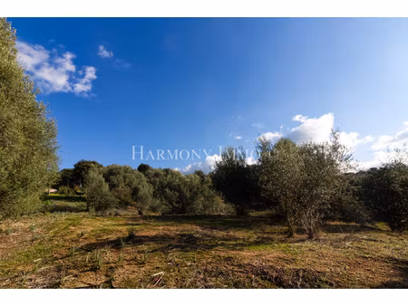 terrain viabilisé proche du village de bastelicaccia.