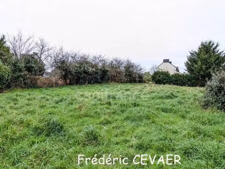 zaghis cecile capifrance