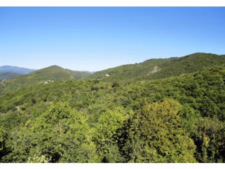 maison avec vue dégagée et très grand terrain