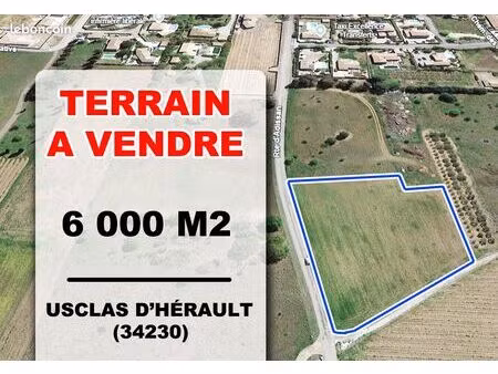 a vendre terrain de 6000 m2 (34230)