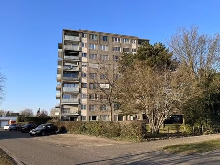 appartement à louer à mol € 700 (lkldf) - hillewaere mol | zimmo