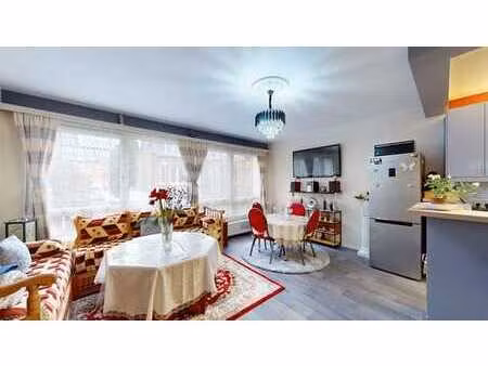 spacieux appart 1 ch  terrasse  grande cave + cour privative