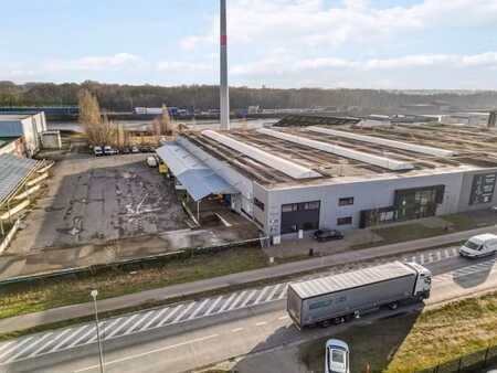 immeuble unique à louer le long de la pathoekeweg à bruges