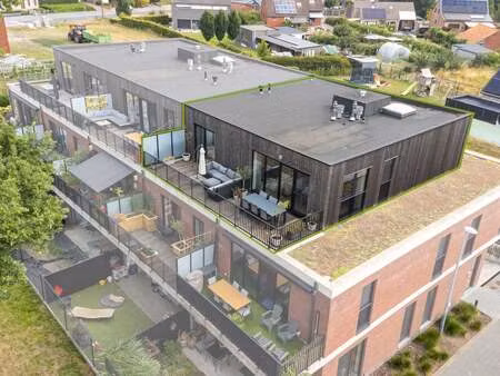 appartement à louer à mol € 1.050 (lkklh) - copandi mol-geel | zimmo