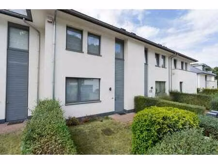 waterloo  bella vita.