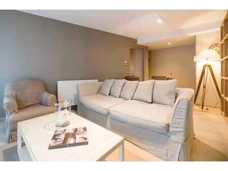 appartement meublé - 1 chambre + terrasse