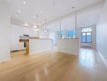 magnifique appartement 1 chambre à louer