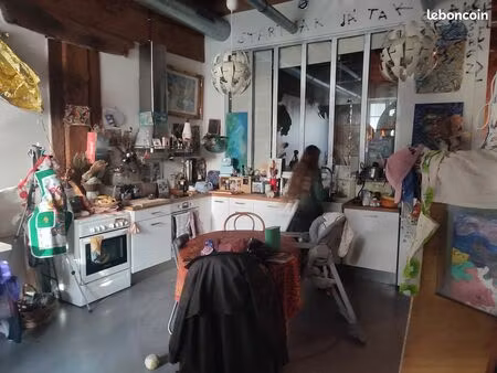 grand t2 style ancien avec touche de modernisme (loft)