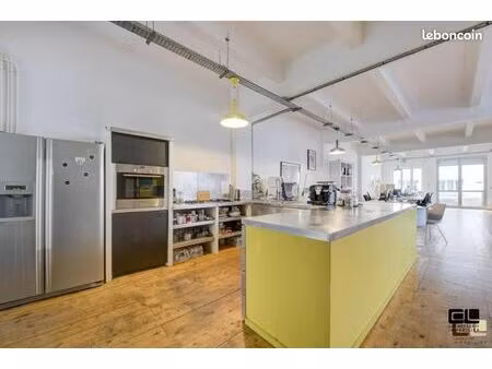 loft 2 pièces 255 m²