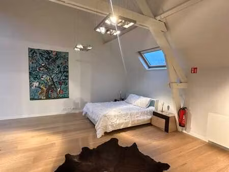 stijlvolle gemeubelde loft met karakter (voor korte termijn)