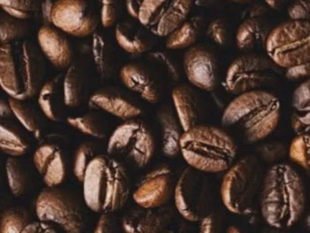 recherche gérance snack avec promesse de vente