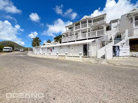 vente commerce 4 pièces 102 m² genneton (79150)