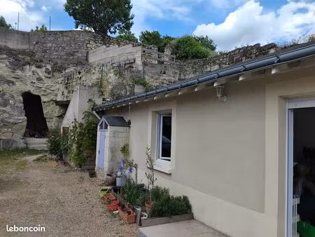 charmante maison entre bord de loire et vignes