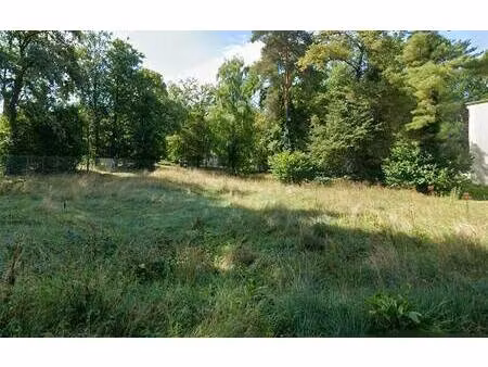 terrain constructible à vendre