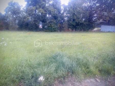 terrain constructible viabilisé à vendre