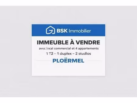immeuble à vendre