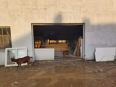 vente terrain 2500 m² villeneuve-sur-yonne (89500)