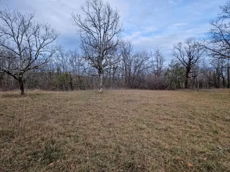 vente terrain 1452 m² à chasteaux (19600)  44 000 €