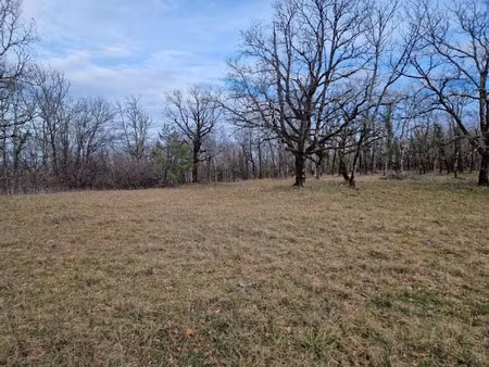 vente terrain à batir 1580 m² à chasteaux (19600)  44 000 €