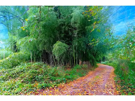 vente terrain 3192 m² à lescure-d'albigeois (81380)  19 900 €