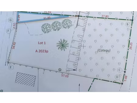 vente terrain 1560 m² à neuillé-pont-pierre (37360)  54 000 €