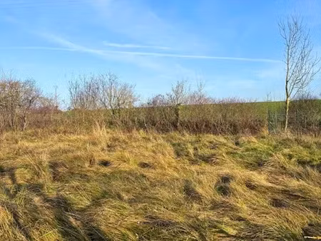 vente terrain 1827 m² à dierrey-saint-julien (10190)  56 000 €