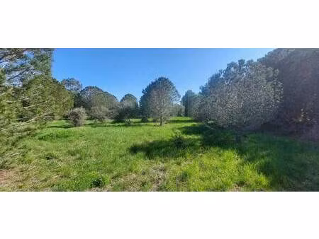 terrain constructible viabilisé à vendre