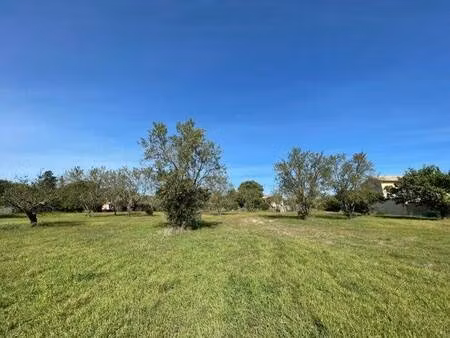 terrain constructible à vendre