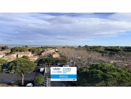 carnon-plage grand f2 avec loggia vue etangs